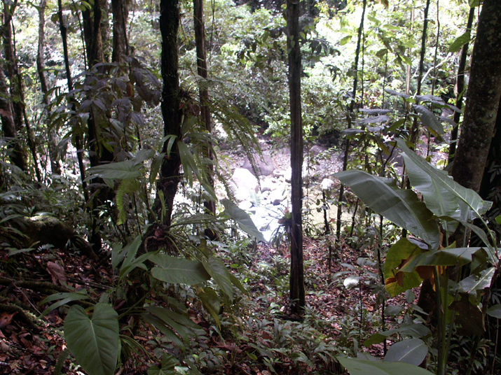 24a - Parc des Mamelles - Marche 020.jpg - DCF 1.0